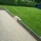 Lawn Turfing